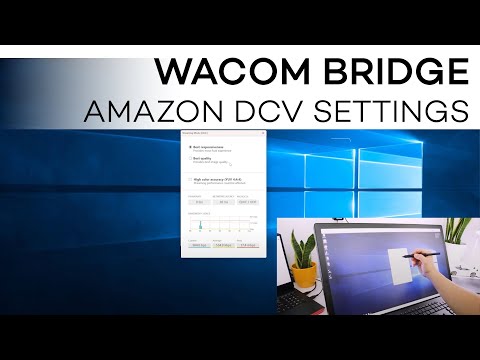 Wacom Bridge - Amazon DCV Settings