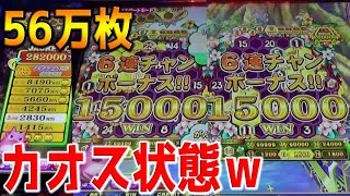 秘密ゲーム「ハニーファイブ」に3万枚BETがヤバすぎたｗｗ【アニマロッタ】