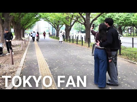 原宿・表参道・外苑散歩 |【4K】 Walking Harajuku, Omotesando and Gaien Tokyo Japan (Oct. 2024)