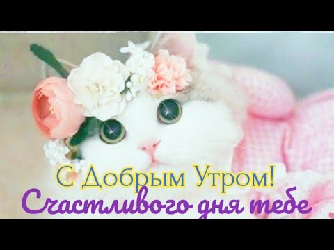 Прекрасного вам нового дня! Позитива и добра! Музыкальная открытка с добрым утром! Шикарная мелодия!