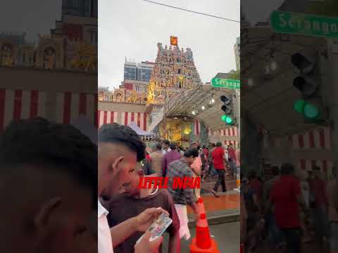 Little india #singaporetemple #singapore #singaporelife #ytshorts #shorts #imvikasrawat