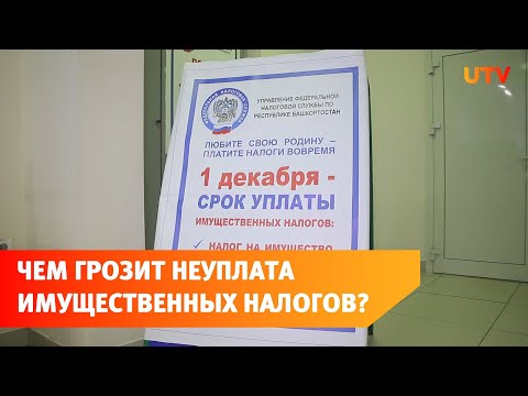 Оплати налоги в срок. Чем грозит неуплата имущественных налогов?