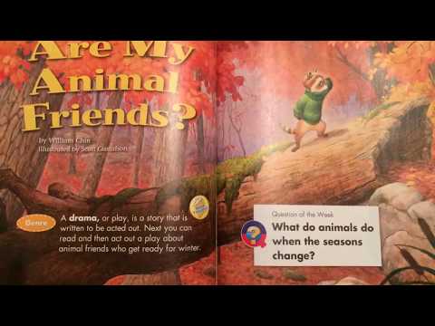 Where Are My Animals Friends? - Grade 1 - Reading Street - The Stepping Stone Kids