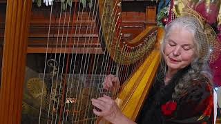 "Have Yourself a Merry Little Christmas | Live Pedal Harp Performance | The Casements Gala 2024"