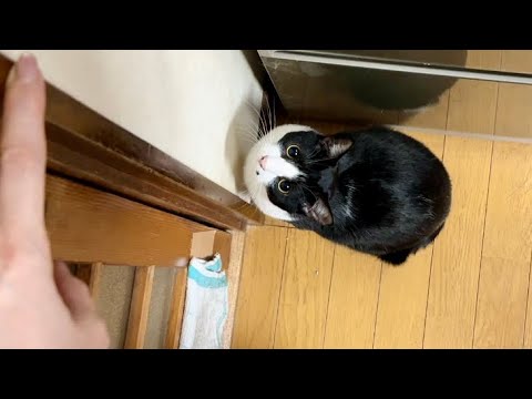 指の位置まで飛びたいキーくん