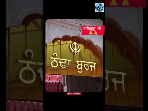 ਸਾਡੇ ਤਾਂ ਸ਼ਹੀਦੀ ਦਿਨ ਚੱਲ ਰਹੇ ਆ🙏 #waheguruji #waheguruji #satnamwaheguru #share #youtube #shorts #top