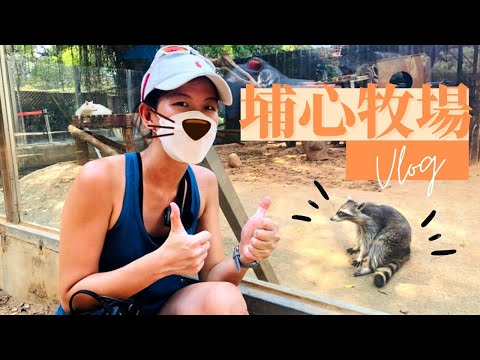 A day out with old friends │Taoyuan Pushin Ranch