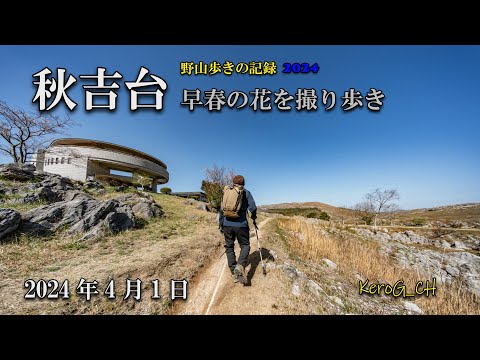 【秋吉台－早春の花を撮り歩き－】野山歩きの記録2024