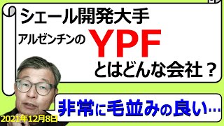 シェールオイル関連銘柄YPFとはどんな会社？アルゼンチン国営石油会社【じっちゃまの米国株】【切り抜き】