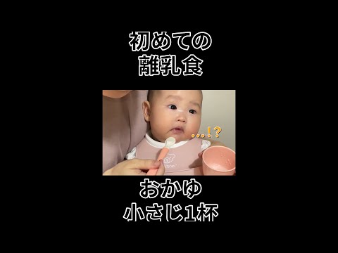 【ﾊﾟｸﾘ】初めての離乳食 ウマい？マズい？ #shorts  #赤ちゃん  #baby