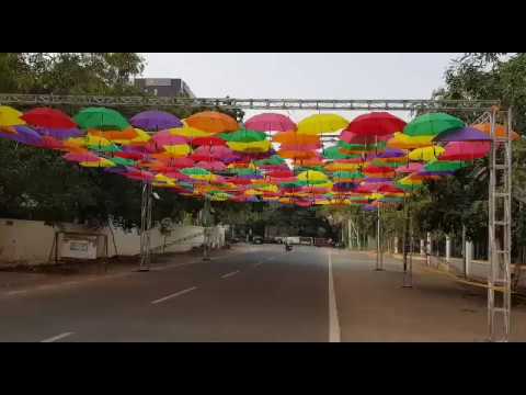 Coimbatore Vizha 2018 | A lane full of Artists | Day 1