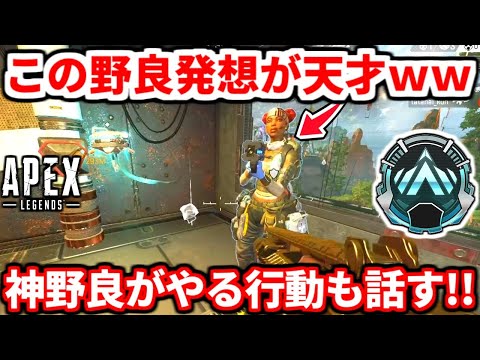 この野良の発想が神過ぎるｗｗｗこれは爆盛りできるわ！ランクで神野良がやる行動もまとめたよ！皆は出来てる！？【APEX LEGENDS立ち回り解説】