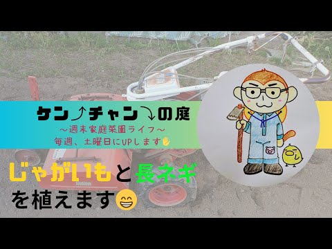 【じゃがいも】と【長ネギ】を植えます✋ ケン⤴チャン⤵の庭〜週末家庭菜園ライフ〜