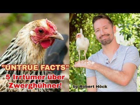 5 "untrue facts" about bantam chickens! - With English subtitle - "Do bantam chickens lay eggs?"