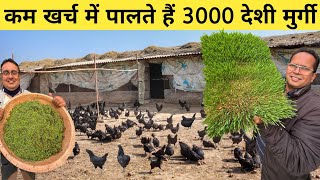 अनोखा चारा बनाकर पाल रहे हैं 3000 देशी मुर्गियां | Desi Poultry Farming Business | Desi Murgi Palan