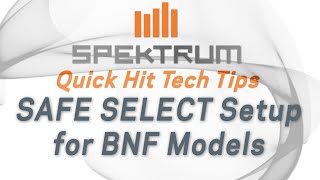 Spektrum のクイックヒット技術ヒント - バインド モデルとフライ モデルの SAFE SELECT をセットアップする方法