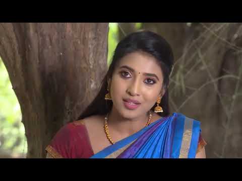 Gokulathil Seethai - Week In shorts - 96 - Vasundhara, Meenakshi, Nandagopal, Iniya - Zee Tamil