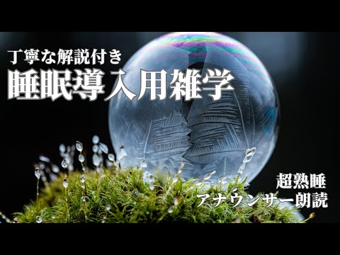 【睡眠導入用】【雑学】(解説付き) 宮崎県高千穂峡の絶景