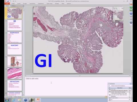 Medical School Pathology, 2013 Season, Session #27: ENT and GI-I