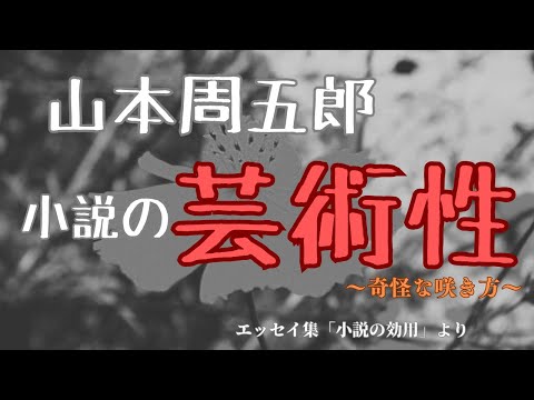 【隠れた名作　朗読】145　山本周五郎「小説の芸術性」