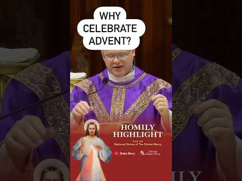 Why celebrate Advent? #advent #homilyhighlights #homily #catholic #spirituality #christmas