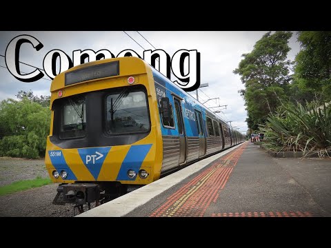 1981 Comeng Trains Showcase | Melbourne Metro