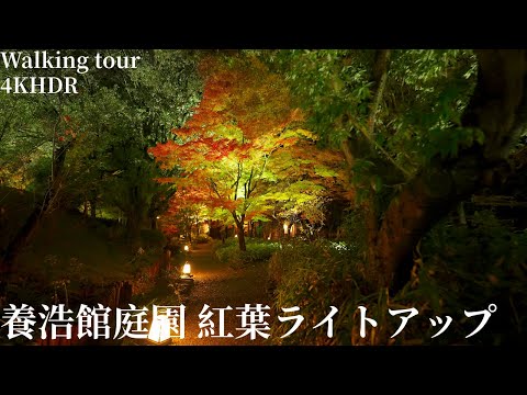 Yohkokan Garden Autumn leaves lighting up Stroll Japan 4KHDR 養浩館庭園 紅葉ライトアップ 散策 福井県福井市