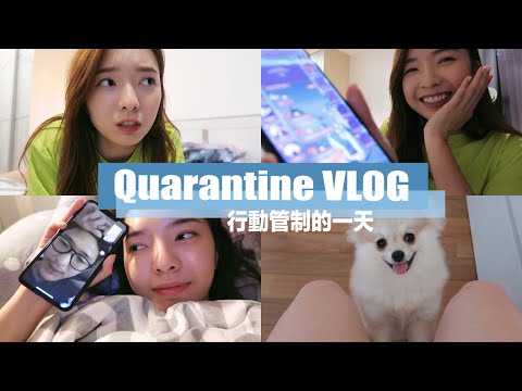 【Quarantine VLOG】 行動管制DAY14 | StephyYiwen