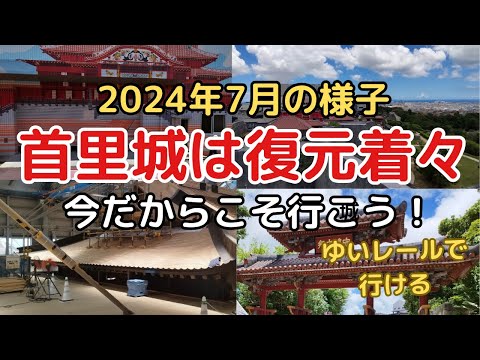 【2024.7 首里城の今】上から見る正殿の屋根　今こそ首里城へ！