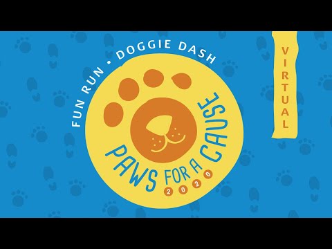 Recap of the 3rd Annual Paws for a Cause Event