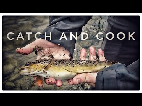 Fishing for wild brown trout and cooking them on the camp fire / Wild camping