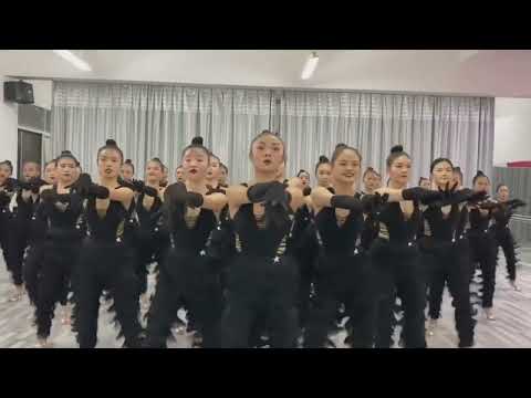 桑巴表演|Stunning samba dance opening#dance #dancer #dancesports #ballroomclasses #samba