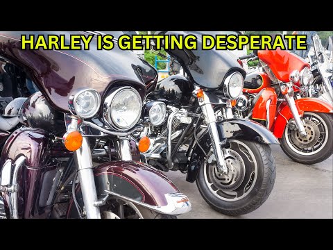 Harley Has A HUGE Issue They're Desperate to fix NOW