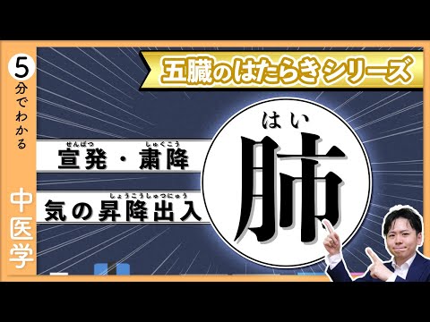 五臓六腑の【肺】｜イメージでわかる「五臓」のはたらき【9割が知らない中医学】