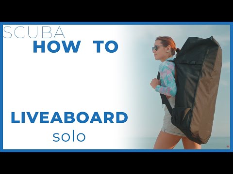 Solo Liveaboard Questions Answered w/ @ExplorerVentures  #scuba #liveaboard