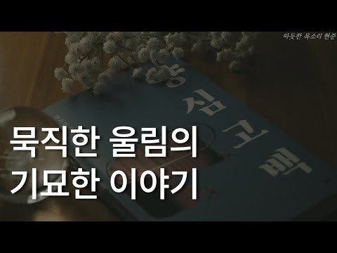 양심고백ㅣ김동식 소설집ㅣ묵직한 울림의 기묘한 이야기ㅣ책 읽어주는 남자ㅣ잠잘 때 듣는ㅣ오디오북 ASMR