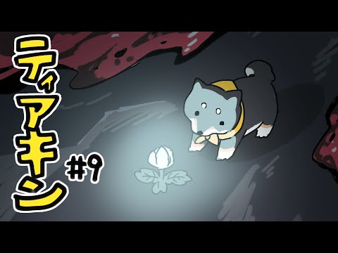 【ゼルダの伝説　ティアーズ オブ ザ キングダム 】#9　ASIMOの初登場ってもう23年前なんやって【#黒井しば #にじさんじ】