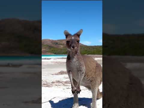 It's just a beach. What's so lucky?  #luckybay #australia