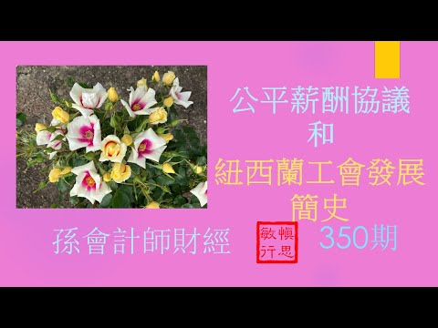 【孫會計師財經周刊】 第350 期 #公平薪酬協議和紐西蘭工會發展史