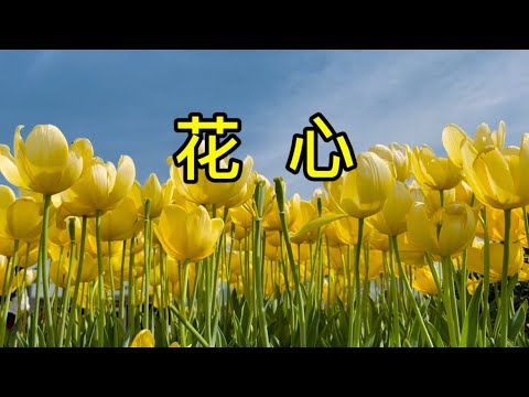 花心—周华健#土耳其 #经典歌曲 #花语