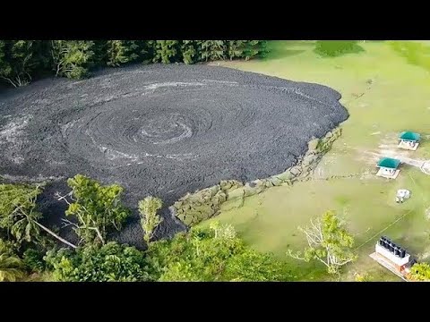 遭遇の確率は10億分の1？！カメラに収められた驚くべき自然現象