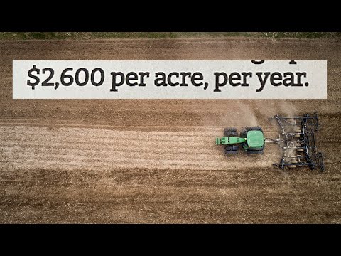 The Highest Paying Crop of 2023, But It Changes Your Land Forever