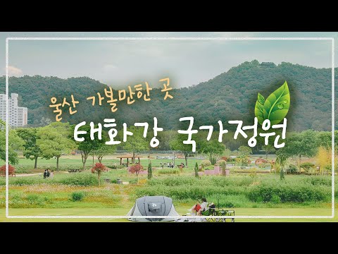 울산 태화강 국가정원 봄꽃축제 소개