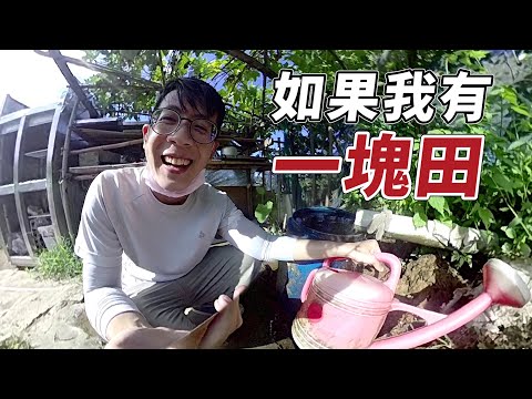 【菜雞農夫】一個禮拜沒澆水的田屍橫片野｜介夫JieFu