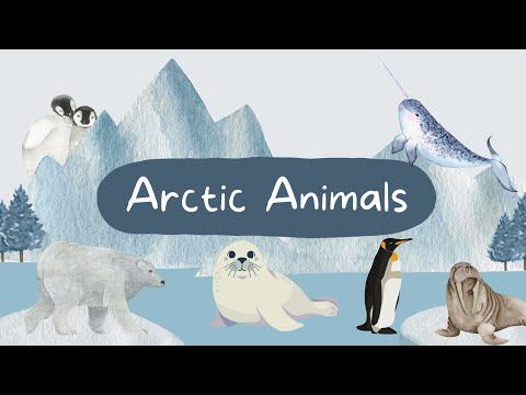 Illustrative Watercolor Arctic Animals. Arctic Wonders: A Watercolor Journey Through Polar Wildlife