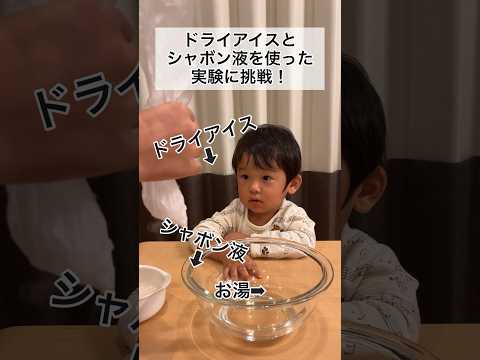 2歳6ヶ月児と一緒にドライアイスとシャボン液を使った実験やってみた #shorts #2歳児