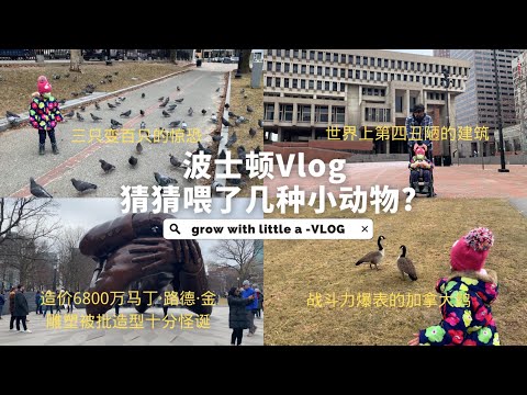 波士顿生活记录Vlog2023初春 | 2023 Spring Boston Vlog #Boston #记录生活  #vlog