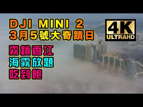 [4K HD] DJI Mini 2 航拍海霧／雲海 | 2022年3月5日 海霧放題 | 航拍機穿雲 | 濃霧系 [中文字幕]