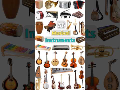 Musical Instruments Name : Part- 01 #musicalinstrument #musicalinstruments #musicinstruments #music