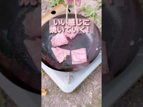 【キャンプ飯】 6Pチーズベーコン巻き🥓#shorts